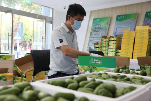 河北順平 電商助農(nóng)產(chǎn)品打開“云”銷路